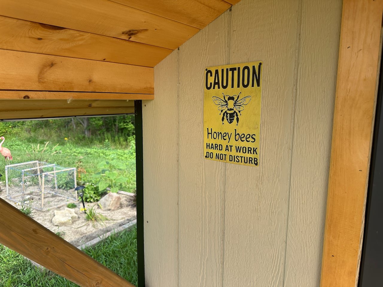 Bees at work.
